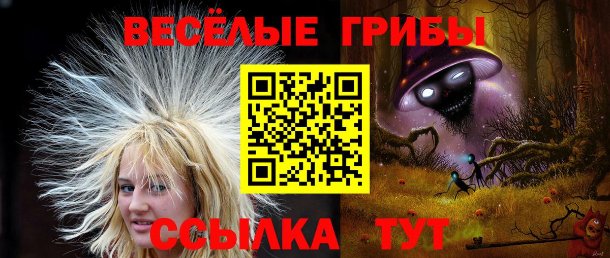 Конопля Светлоград