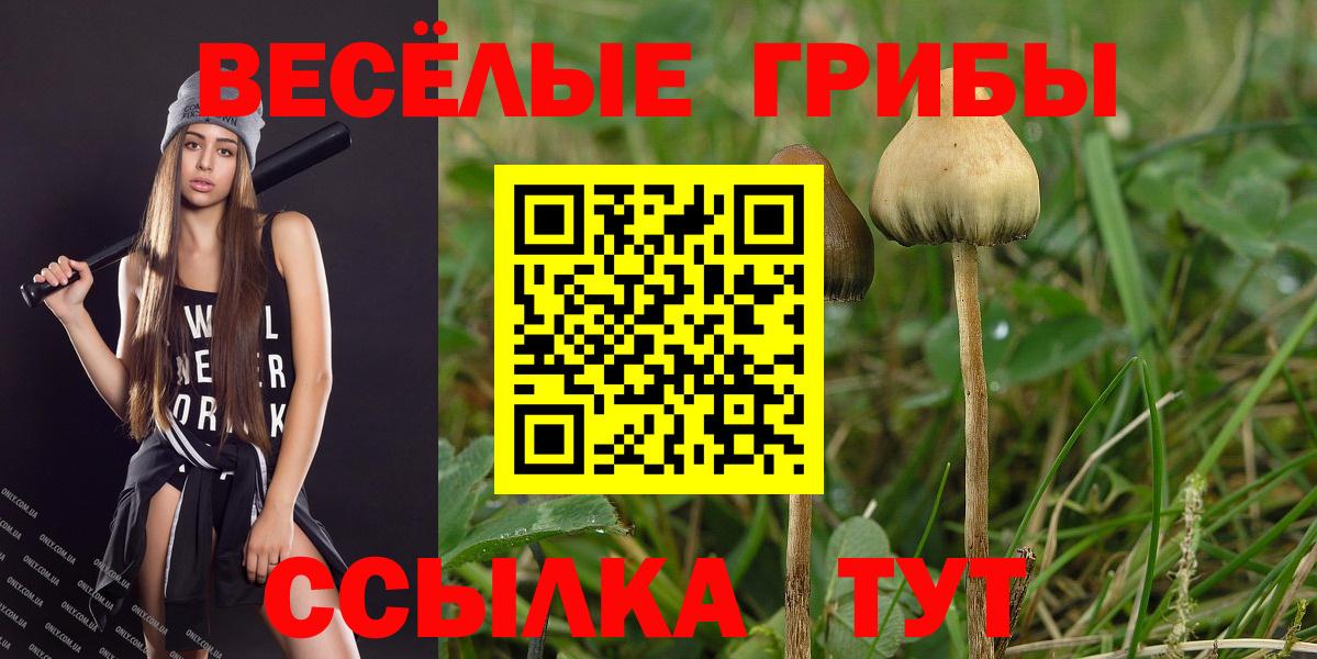 Псилоцибиновые грибы MAGIC MUSHROOMS  Вход с VPN  Псилоцибиновые грибы Cubensis  Светлоград 